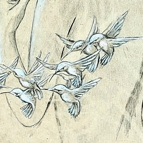 Detalle del dibujo de los colibris
