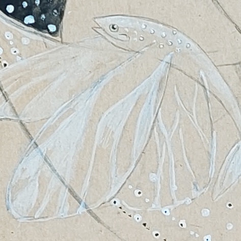 Detalle de uno de los peces voladores