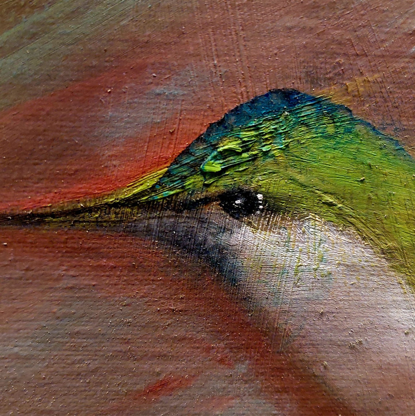 Detalle de la cabeza de uno de los colibrís
