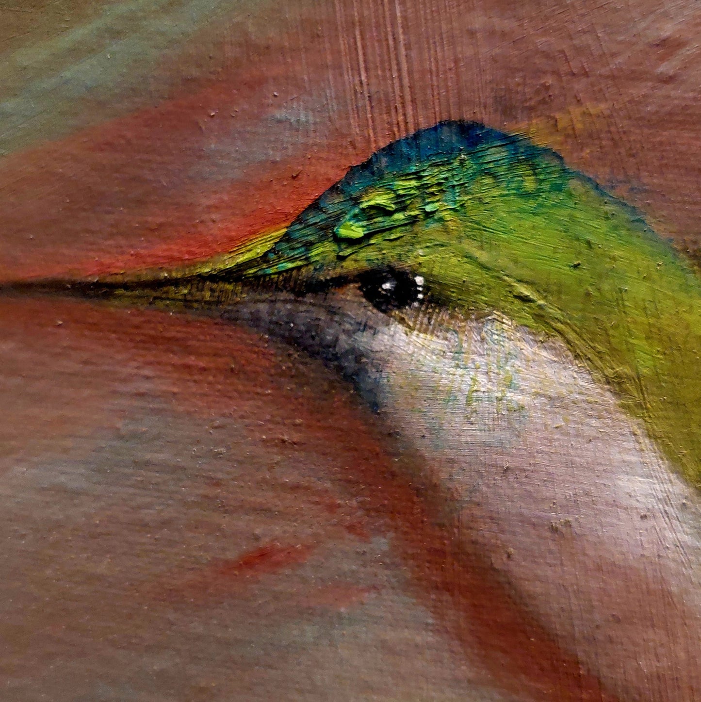 Detalle de cabeza de colibrí