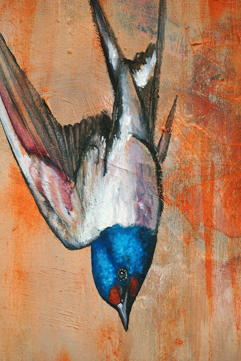 Golondrina