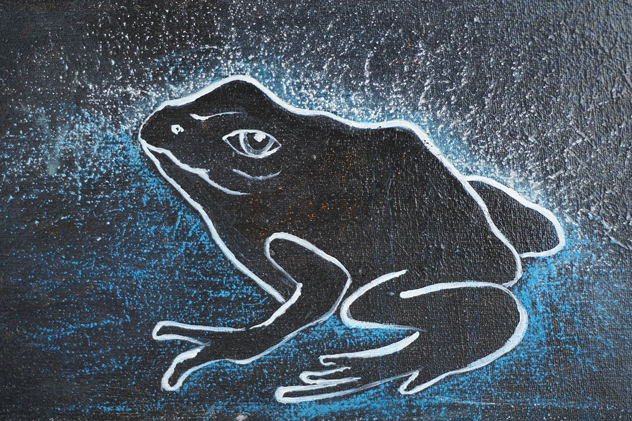 Ilustración primitivista de una rana