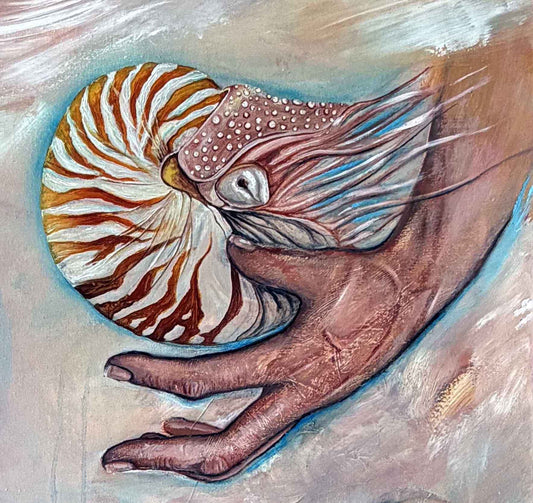 Nautilus 3