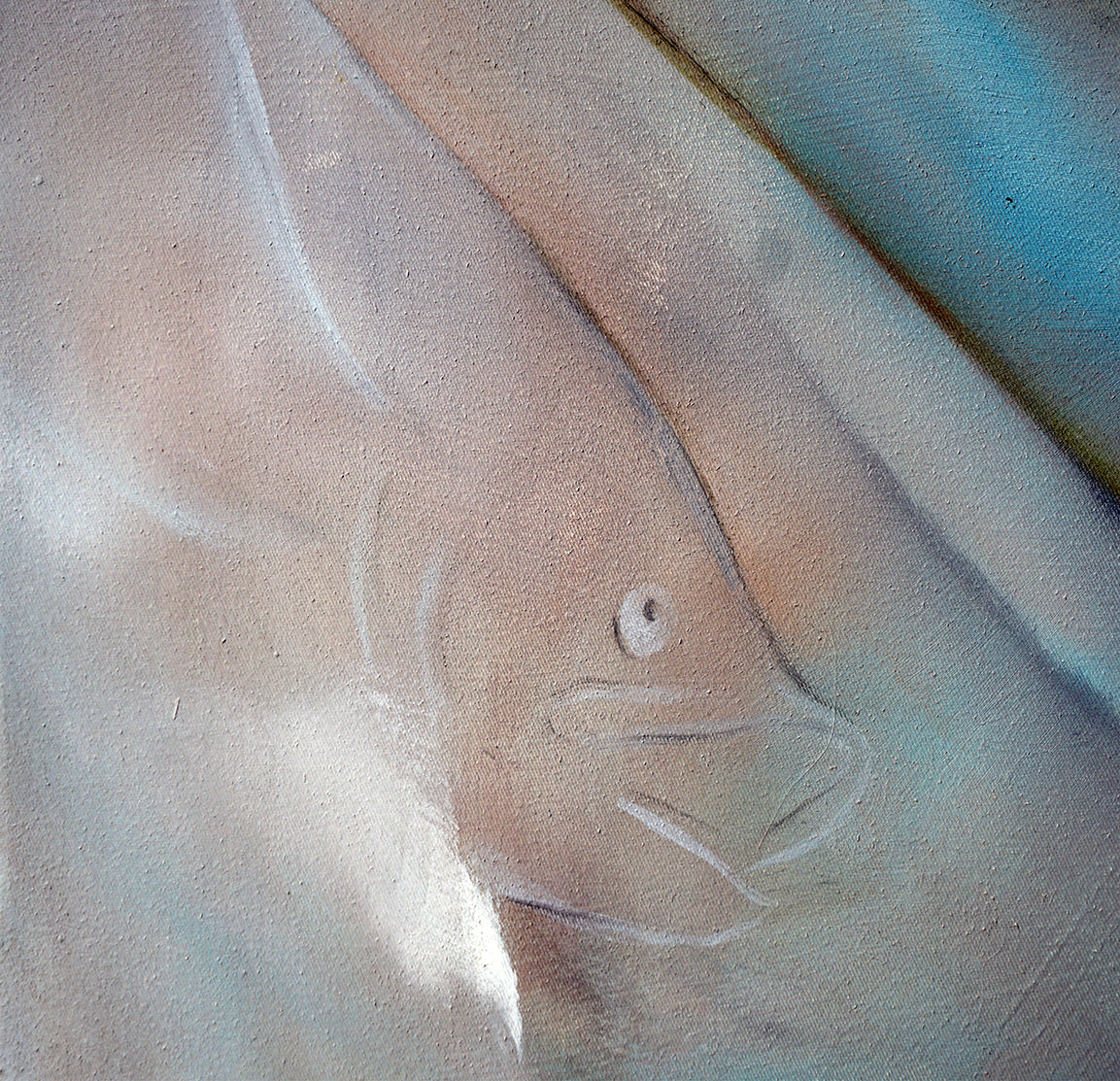 Detalle de la cabeza de uno de los peces voladores transparente