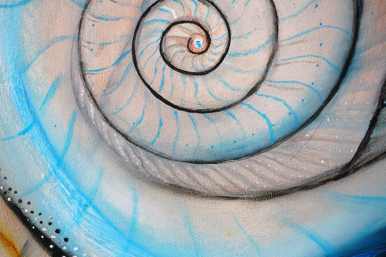 Detalle de la espiral