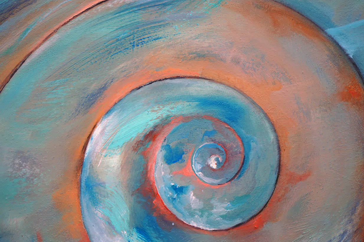 Detalle de la espiral
