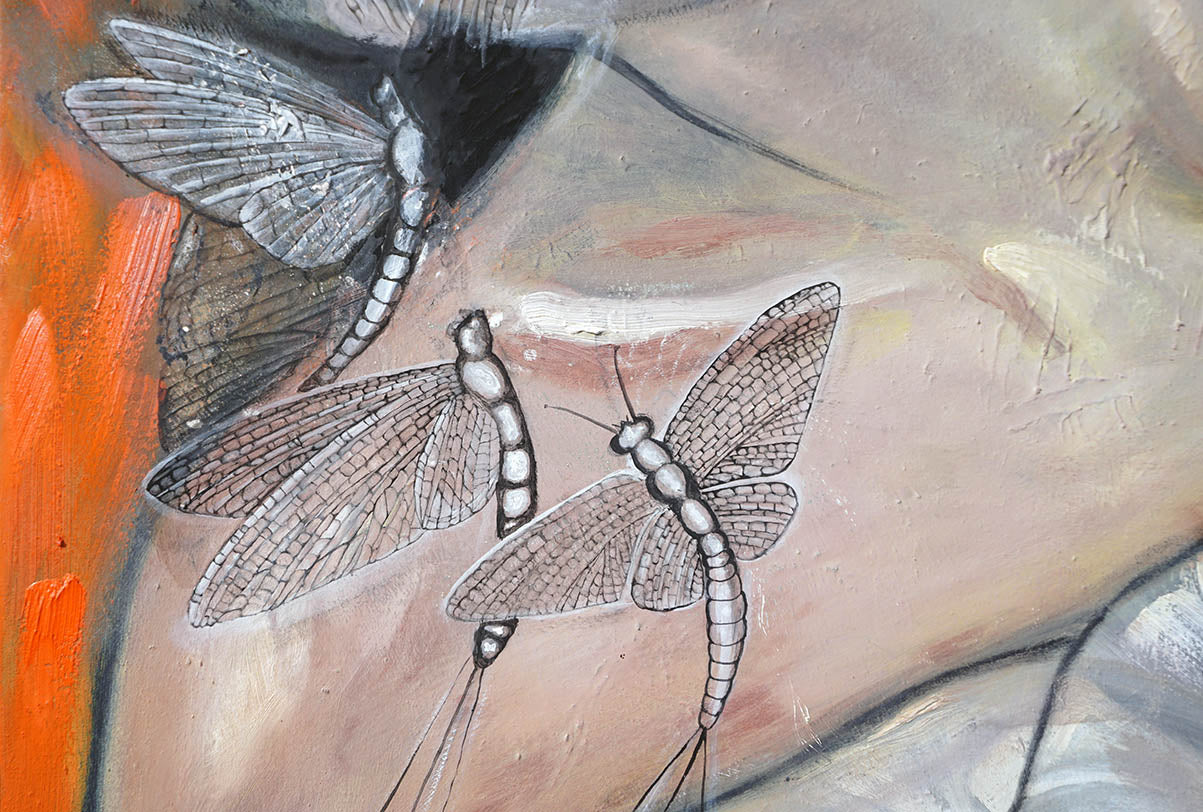 Detalle de tres efímeras