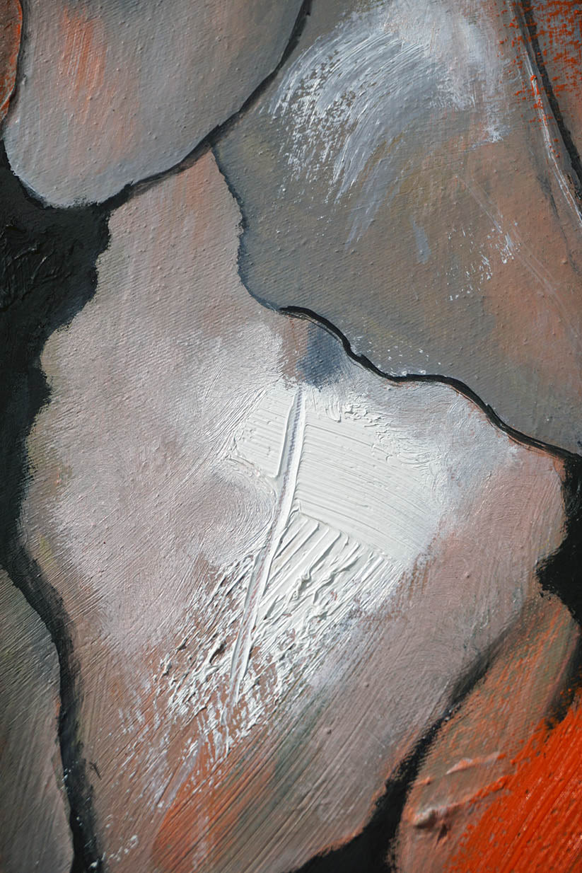 Detalle de las texturas de una de las flores del manto