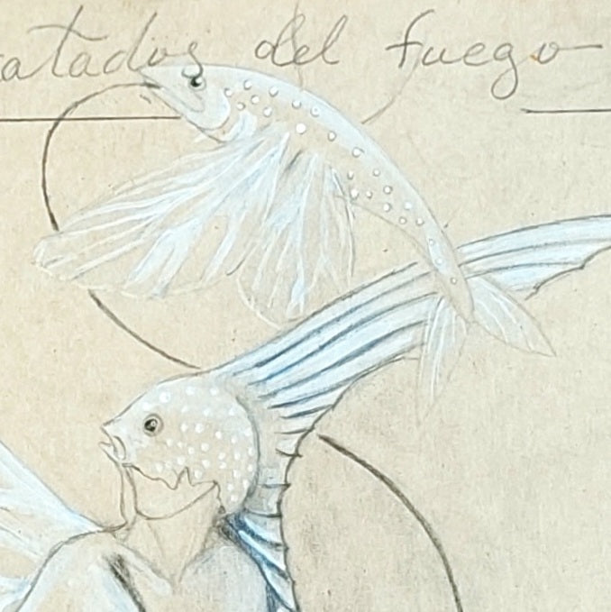 Detalle de unos de los peces voladores enganchado en anzuelo y cabeza de la mujer pez