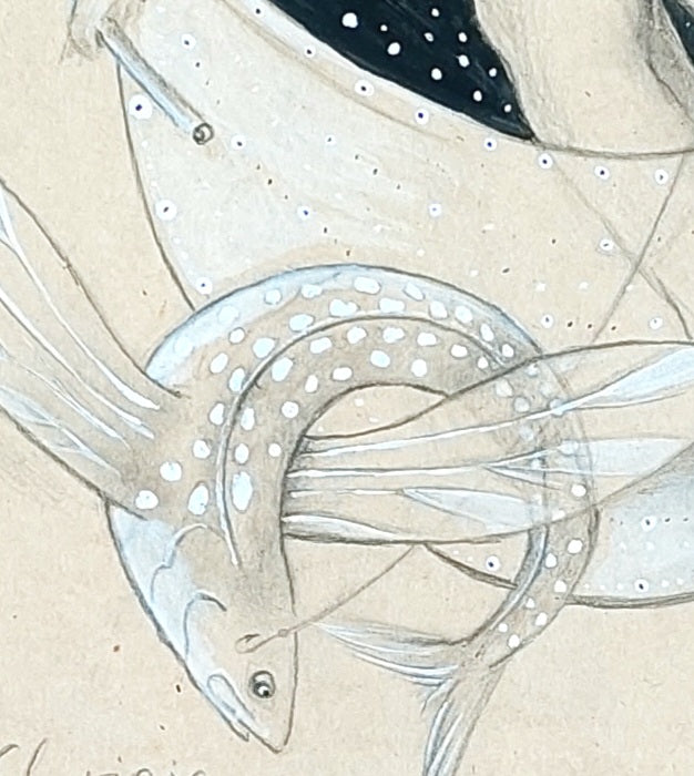 Detalle de uno de los peces voladores