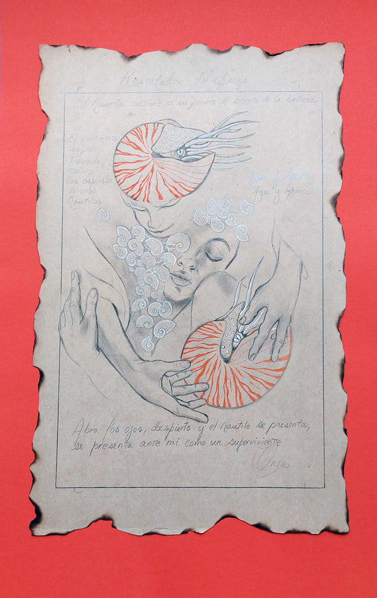Dibujo de rostro femenino abrazada por manos y dos nautilos. Fondo naranja