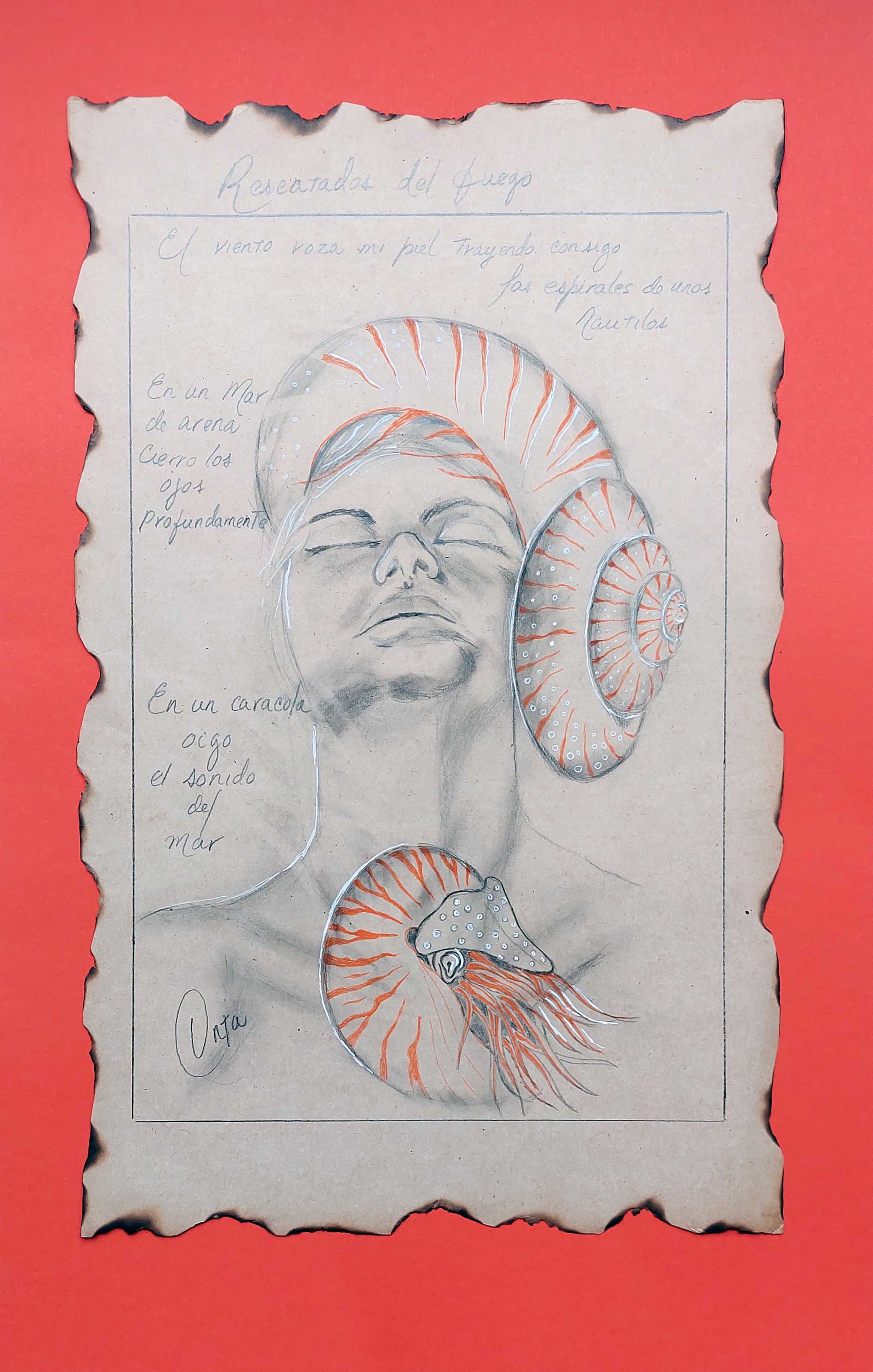 Dibujo de cabeza de mujer con nautilo sobre ella. Otro nautilo está situao sobre su pecho. Anotaciones escritas a mano. Fondo naranja .