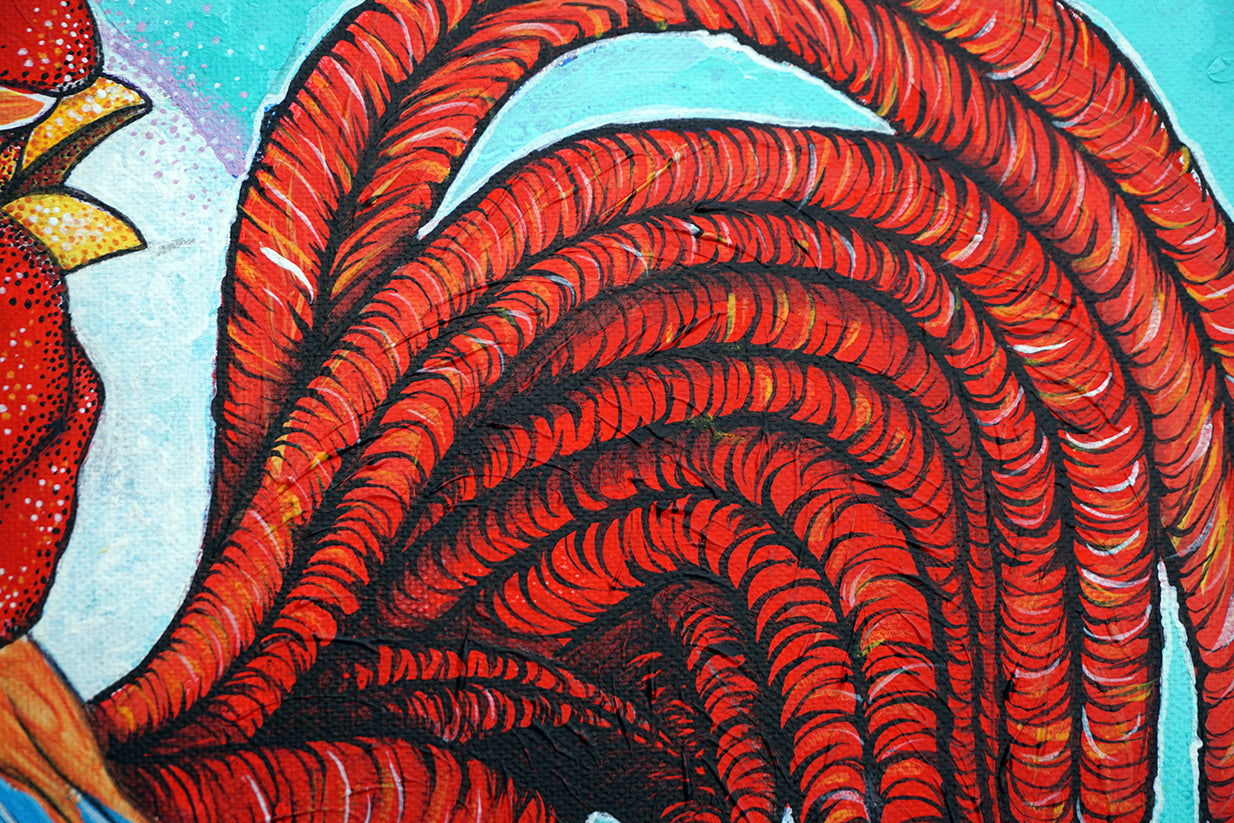 Detalle de las pumas de la cola del gallo