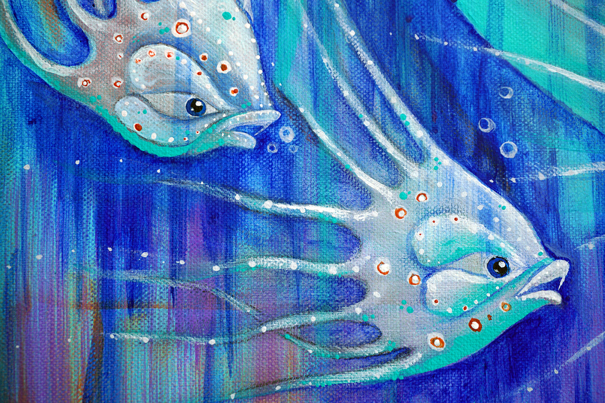 Detalle de dos medusas