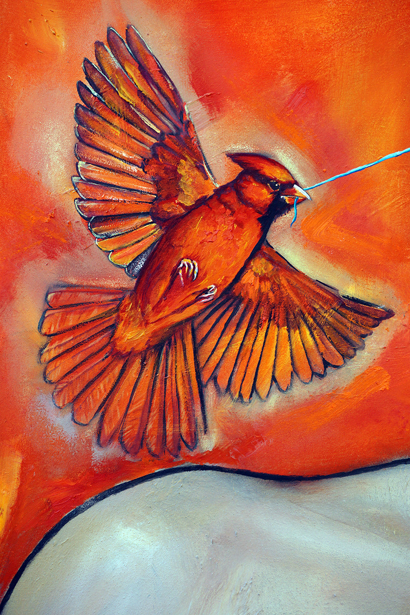 Detalle de cardenal volando con alas desplegadas tirando de hebra azul con su pico
