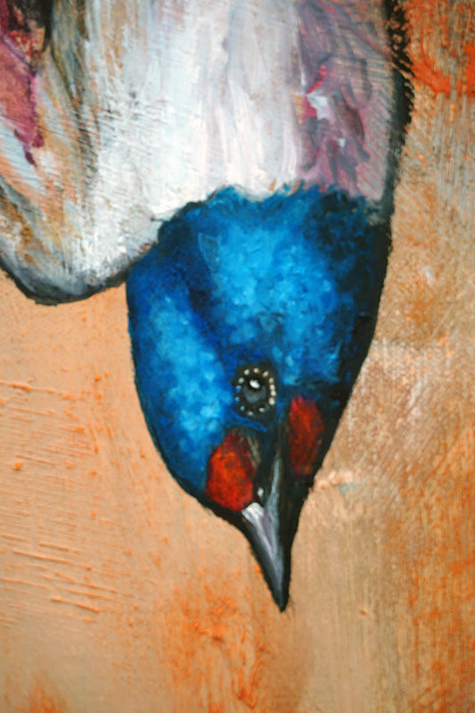 Detalle de cabeza de golondrina