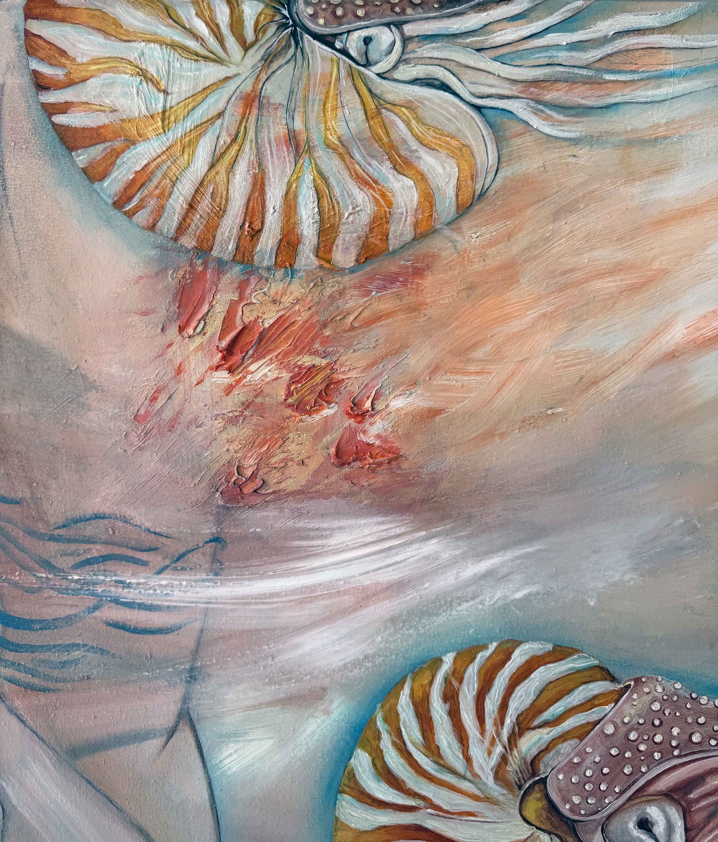 Nautilus 3