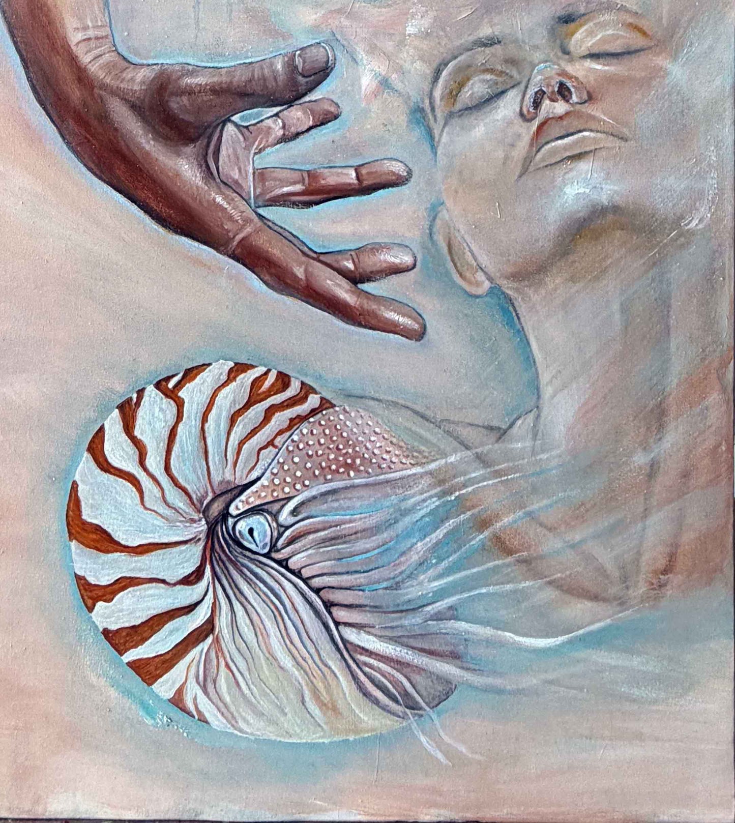 Nautilus 3