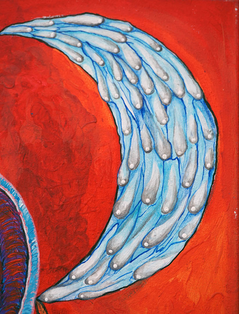 Der Hahn und die Qualle